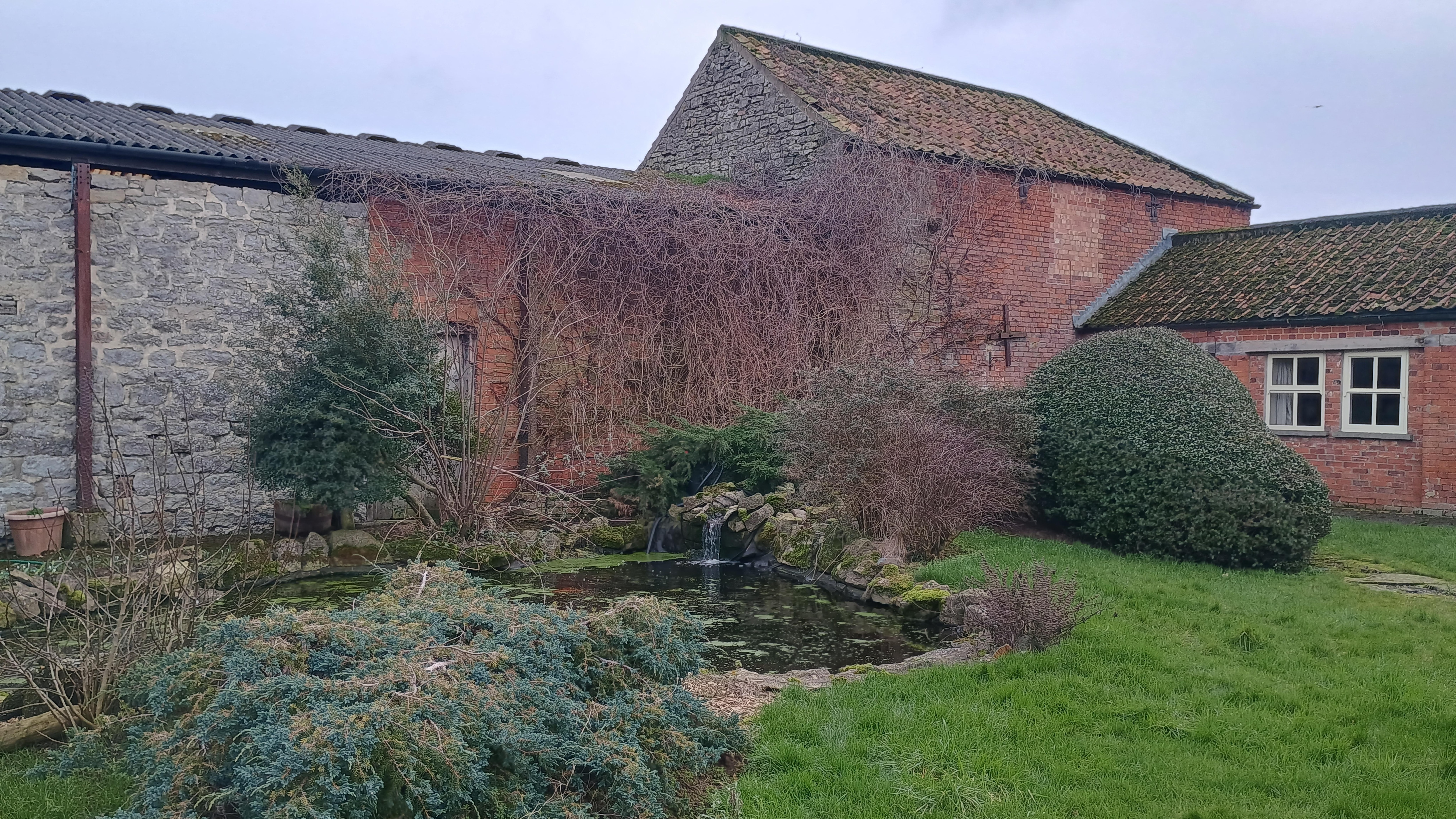 Courtyard in February 