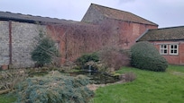 Courtyard in February