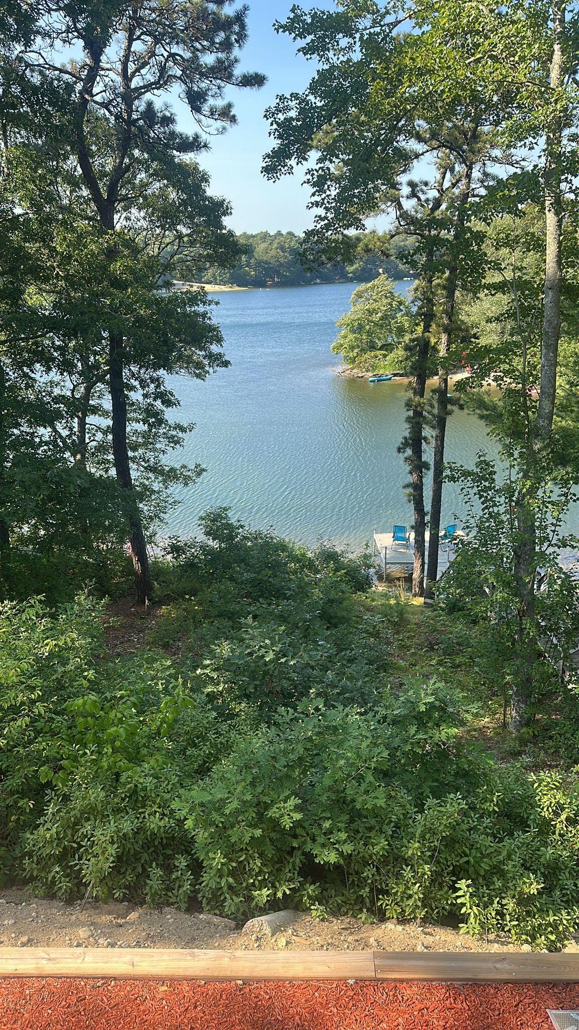 View from the back of the house 