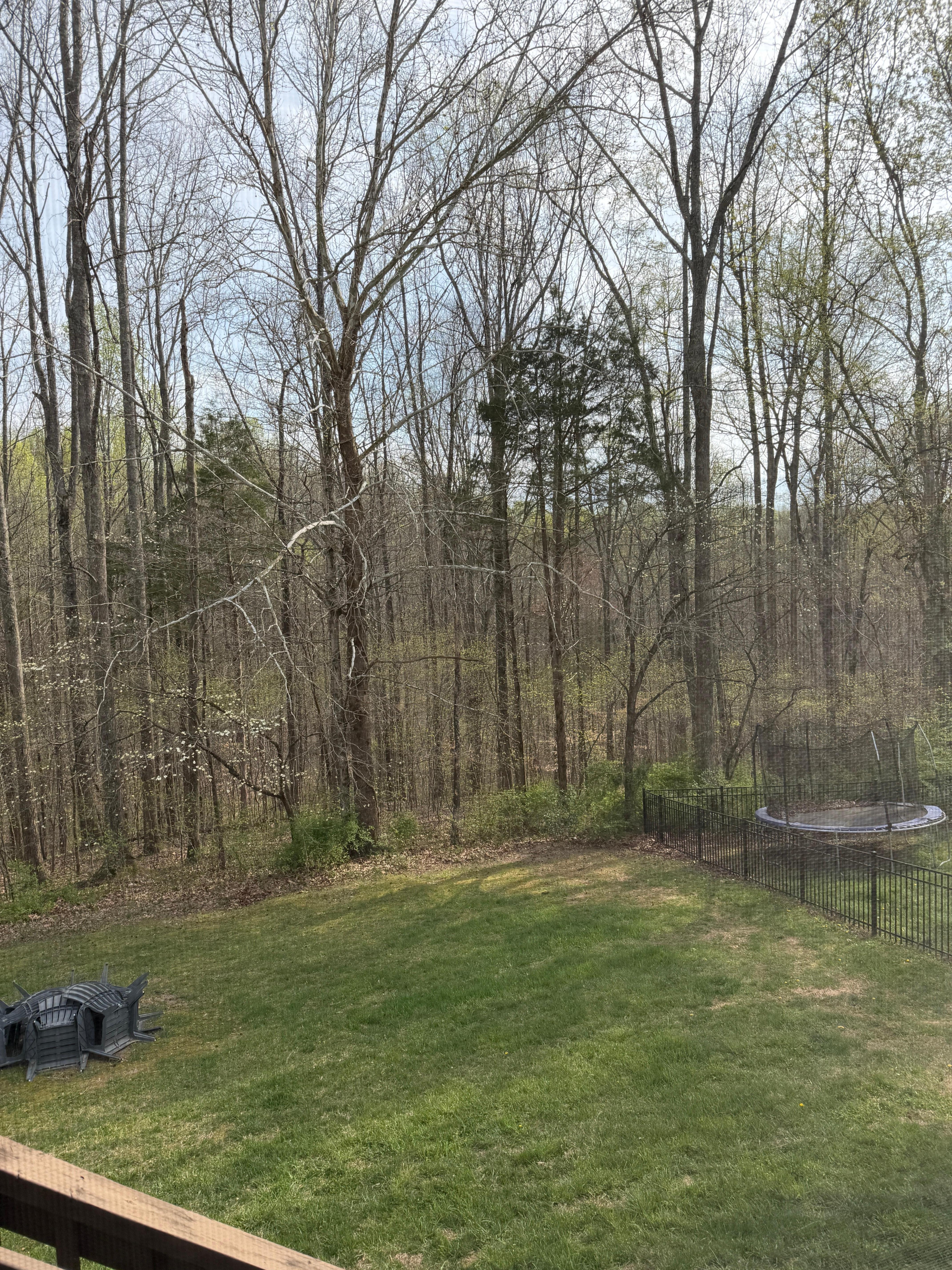 Serene view from the screened porch area.