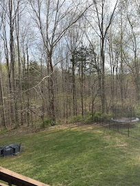 Serene view from the screened porch area.