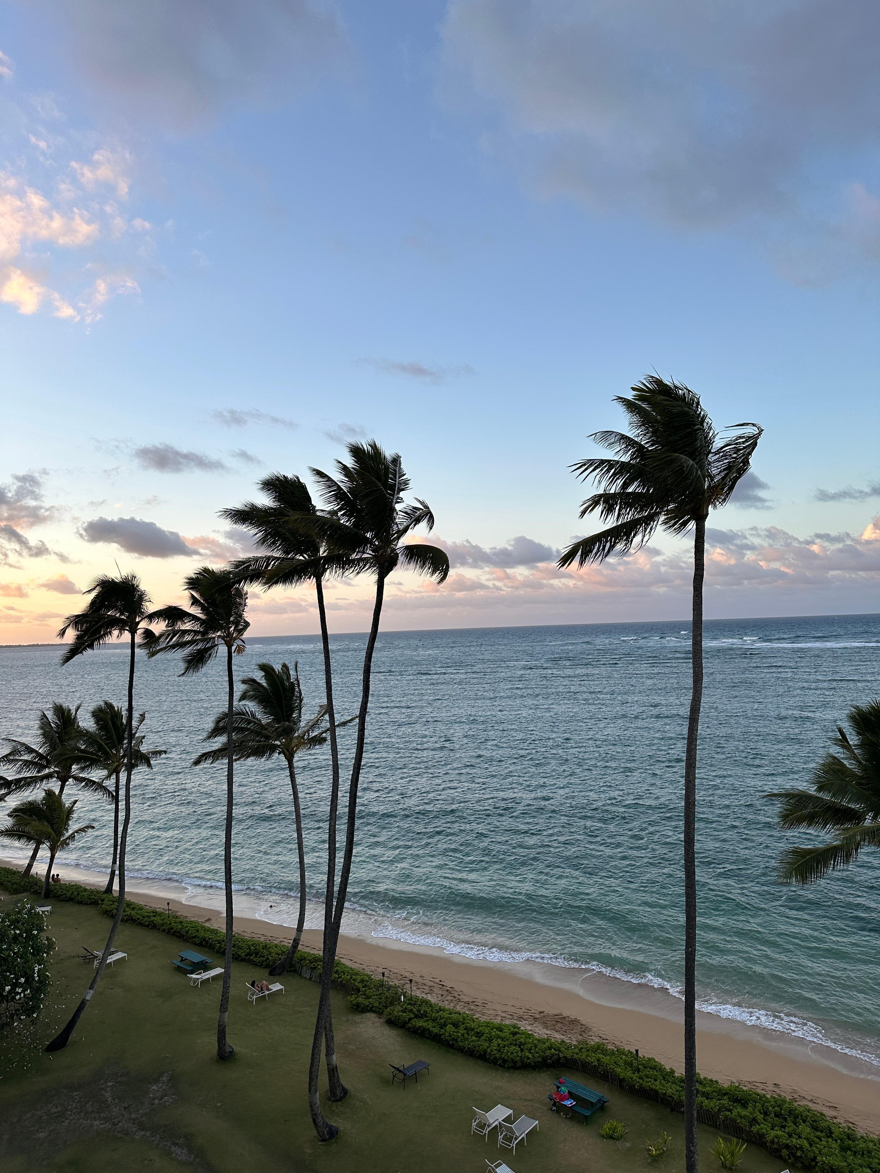 Afternoon view from condo sliding door