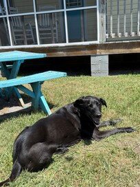 He was a happy boy!