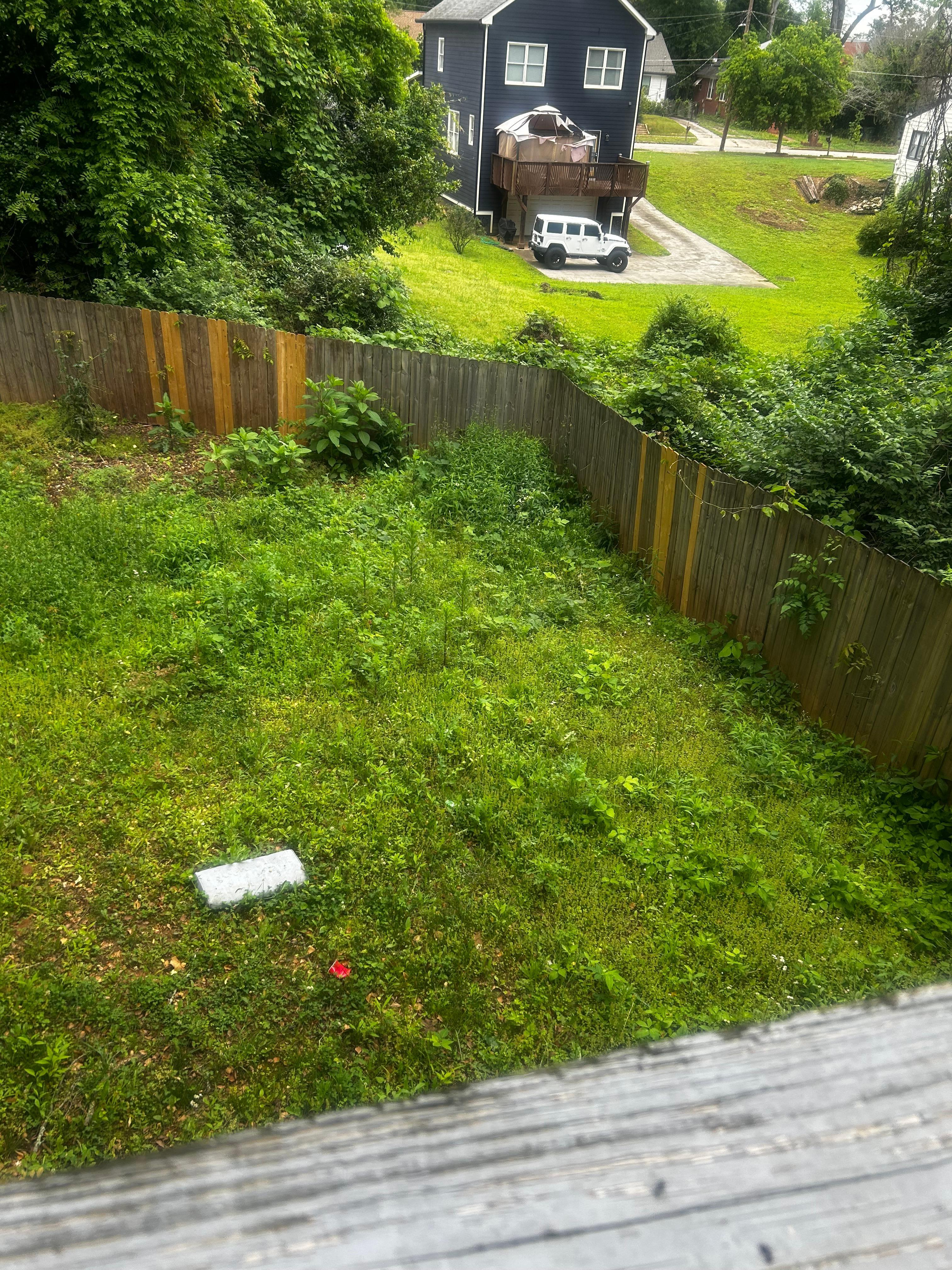 Yard