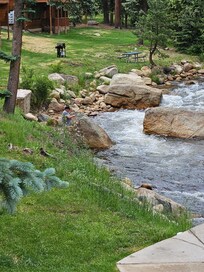 Stream by the condo.