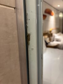 Dead moth in the Shower