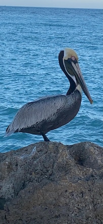 This was in the Jetty