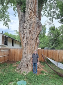 MASSIVE old cottonwood on the property! We were impressed!