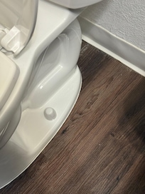 Toilet leaked, floor was wet & musty smell