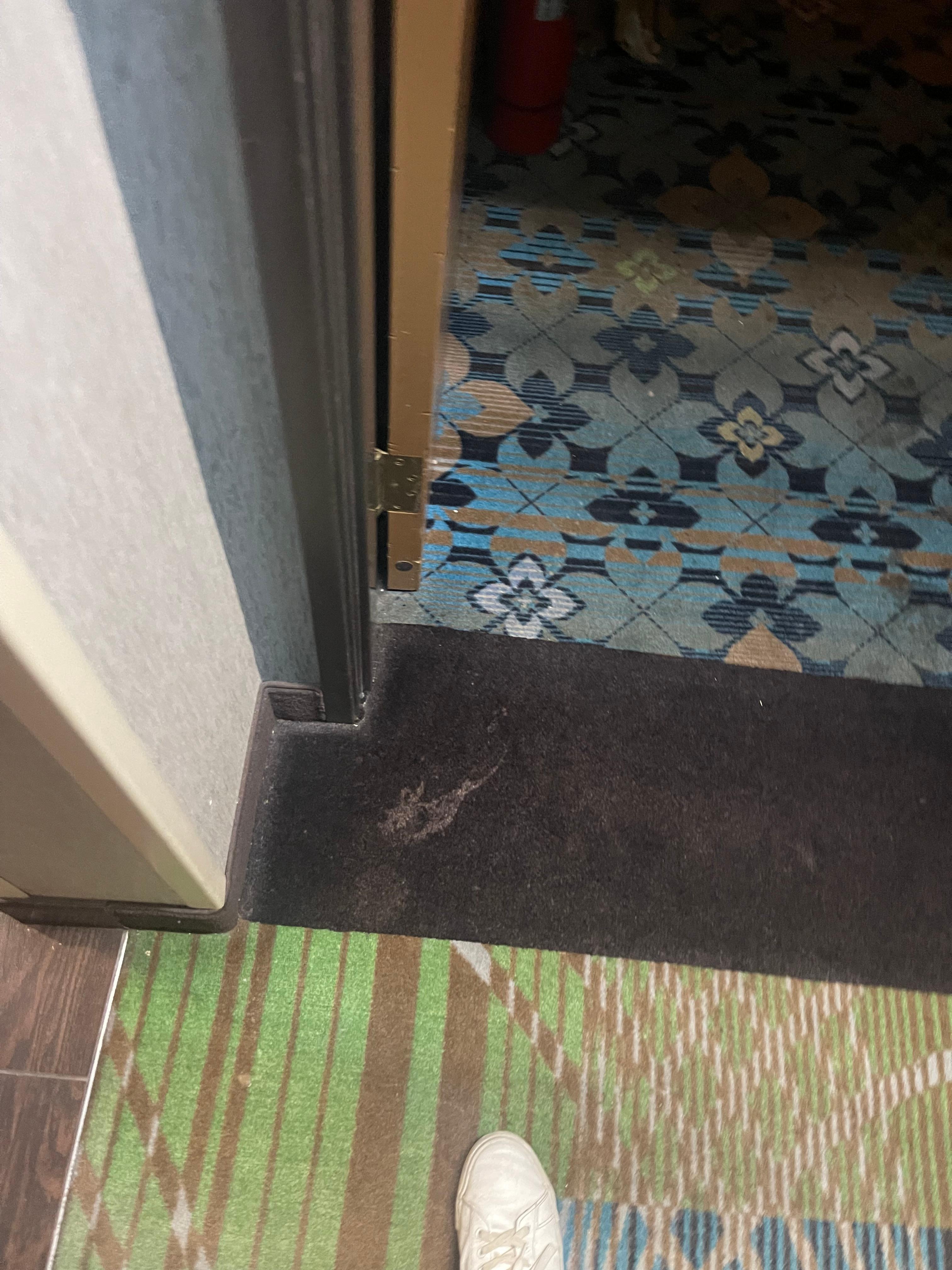 One of MANY stains all over the hallways. 