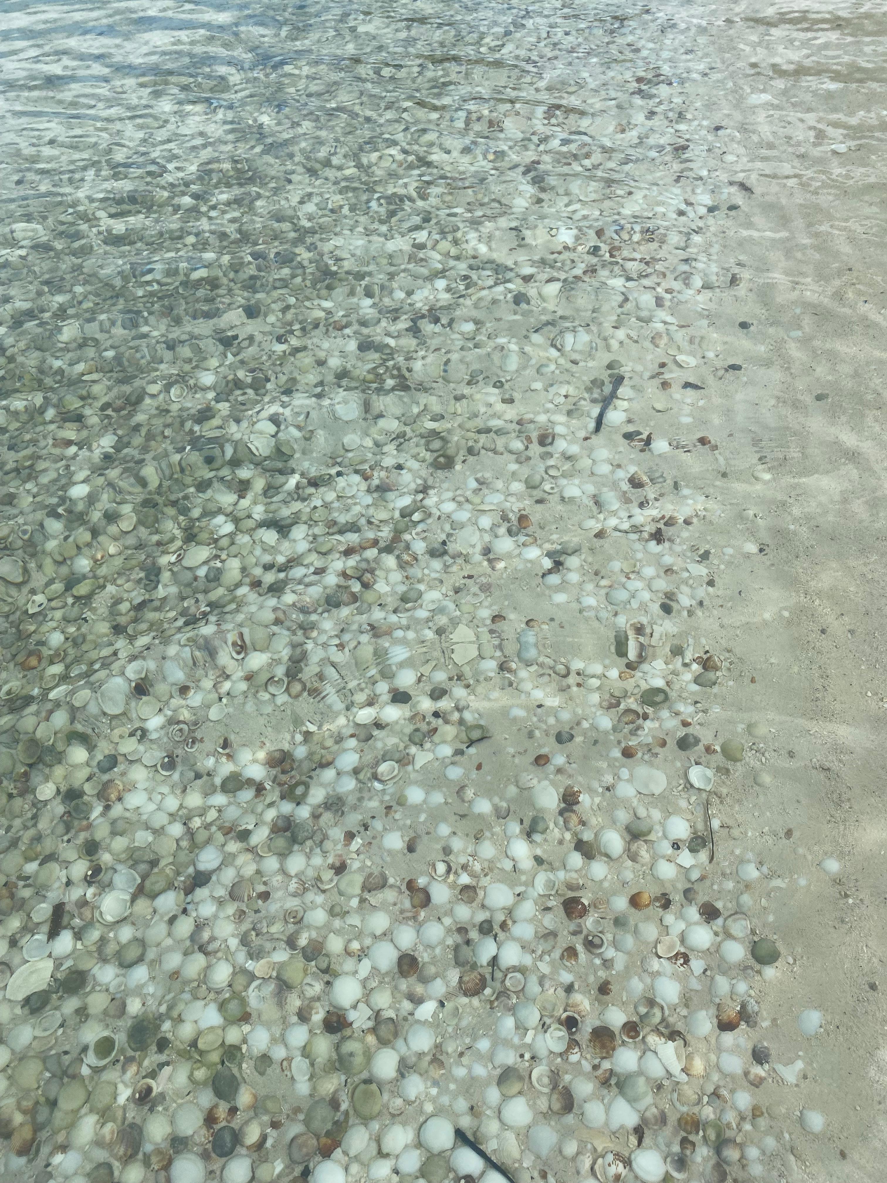 Shell entrance to water