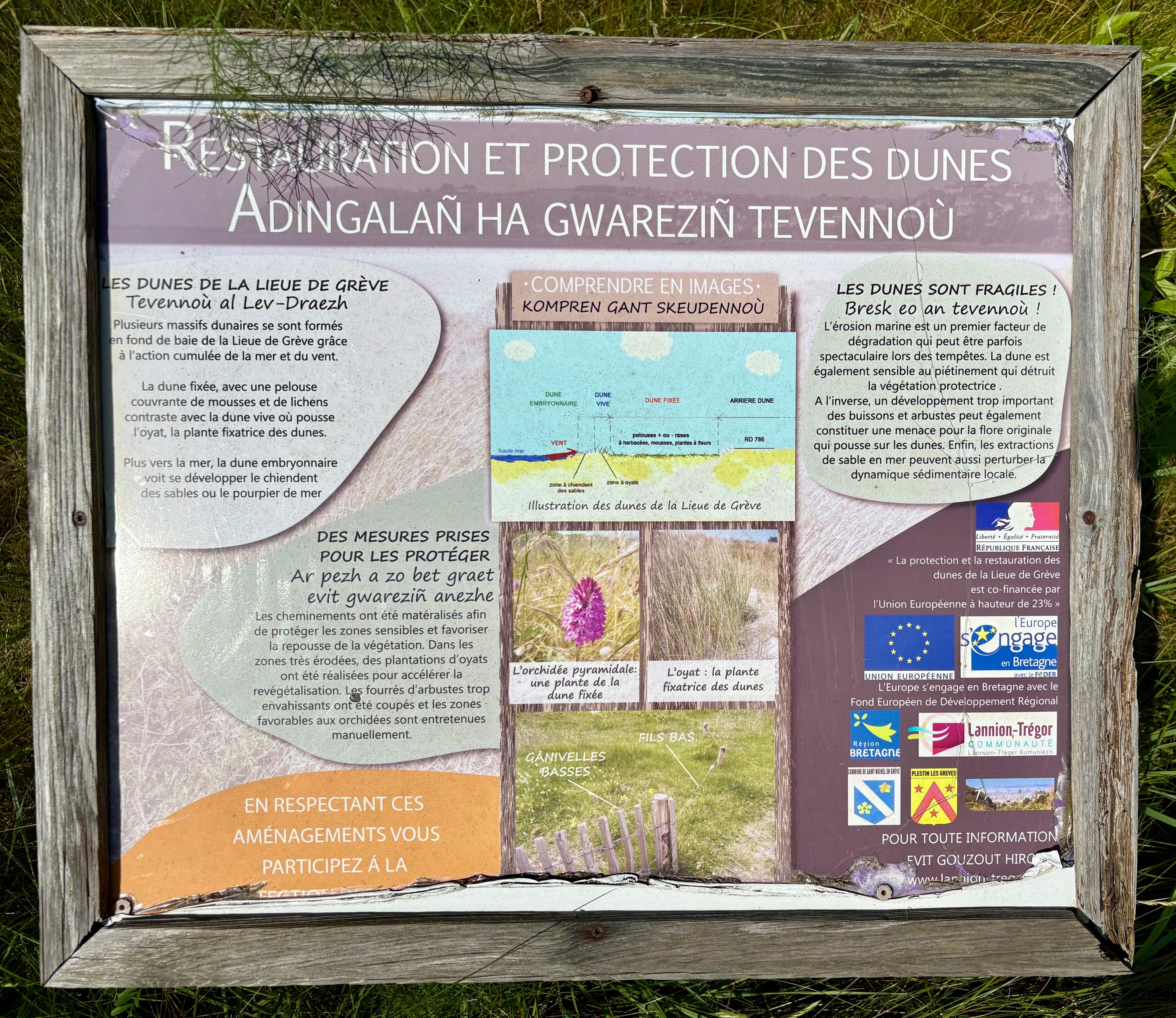 Info board concerning the protected dunes