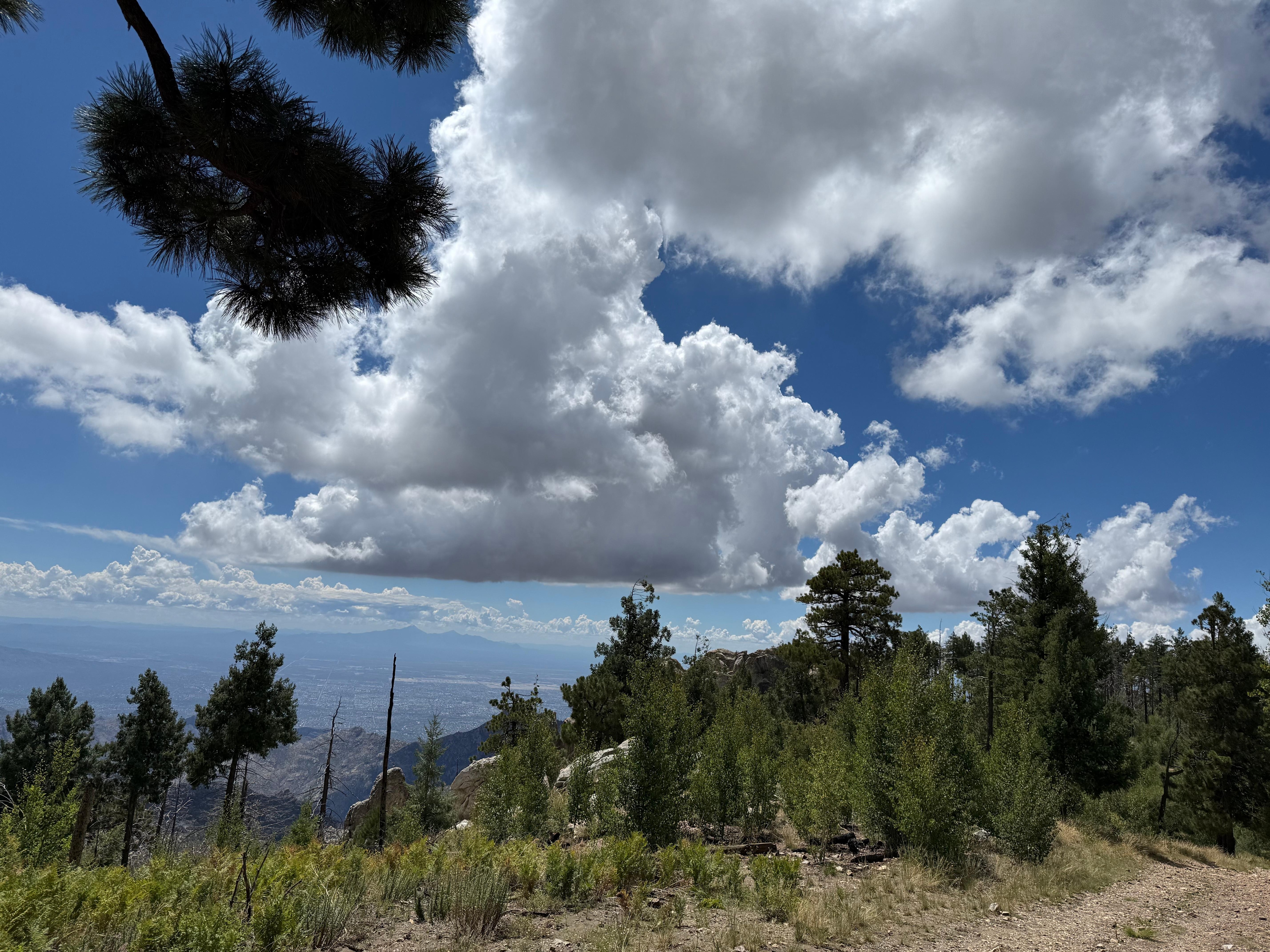 Hiking at the summit