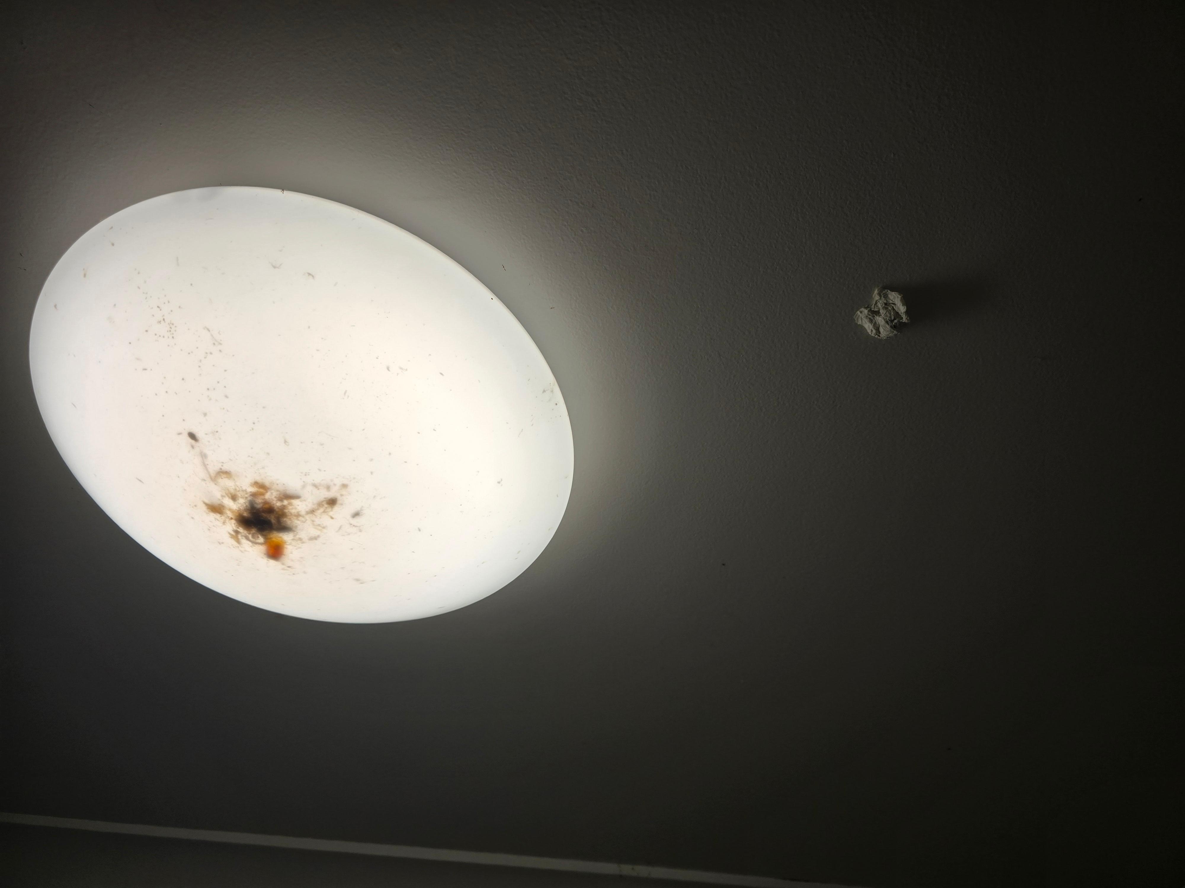 This is only 1 photo, plus all the cockroaches in the bathroom. 