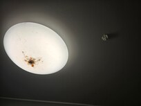 This is only 1 photo, plus all the cockroaches in the bathroom.