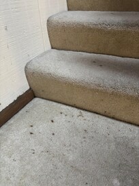 Stains and dirt on carpeting on stairs