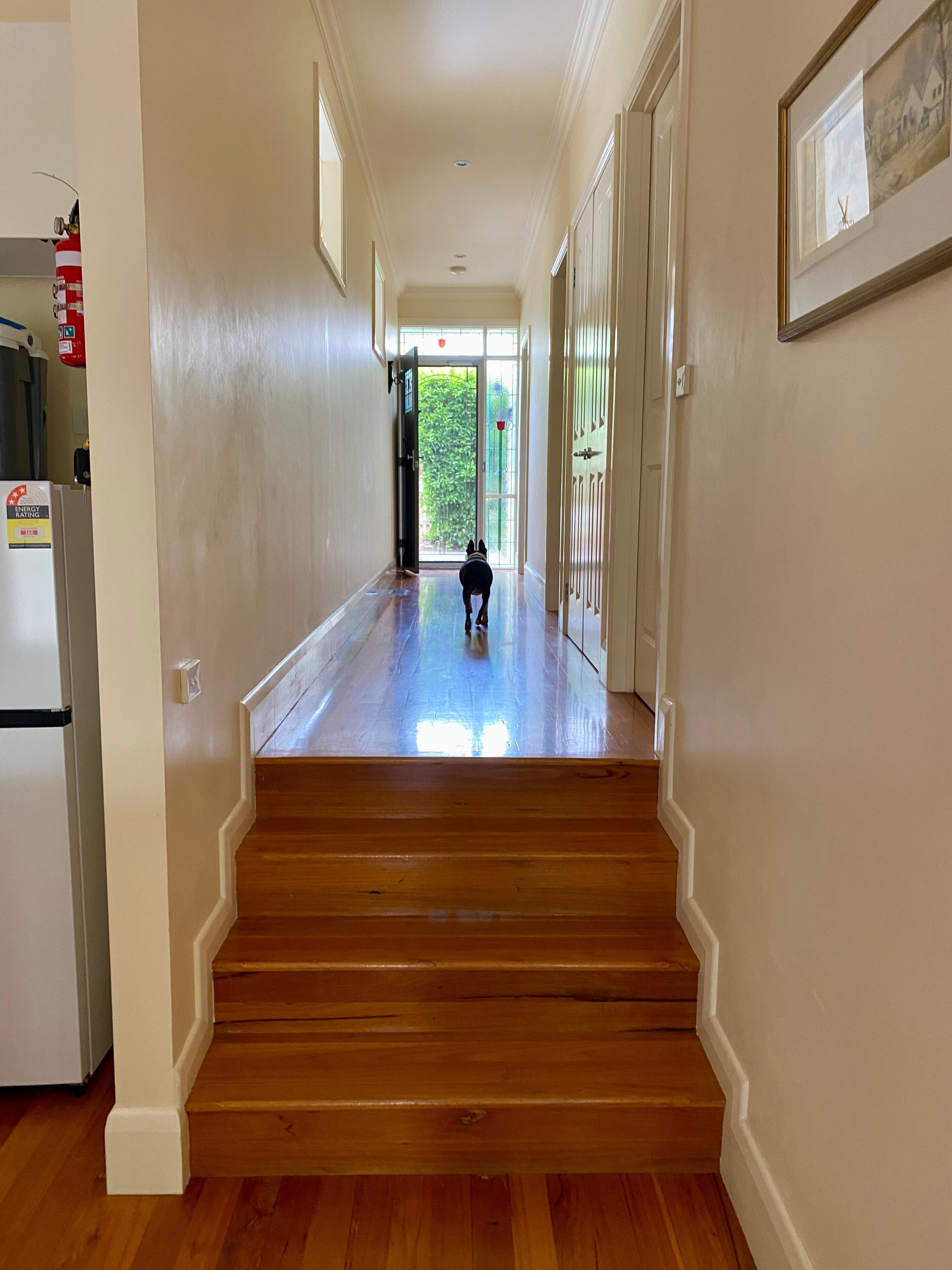 Entrance and hallway 