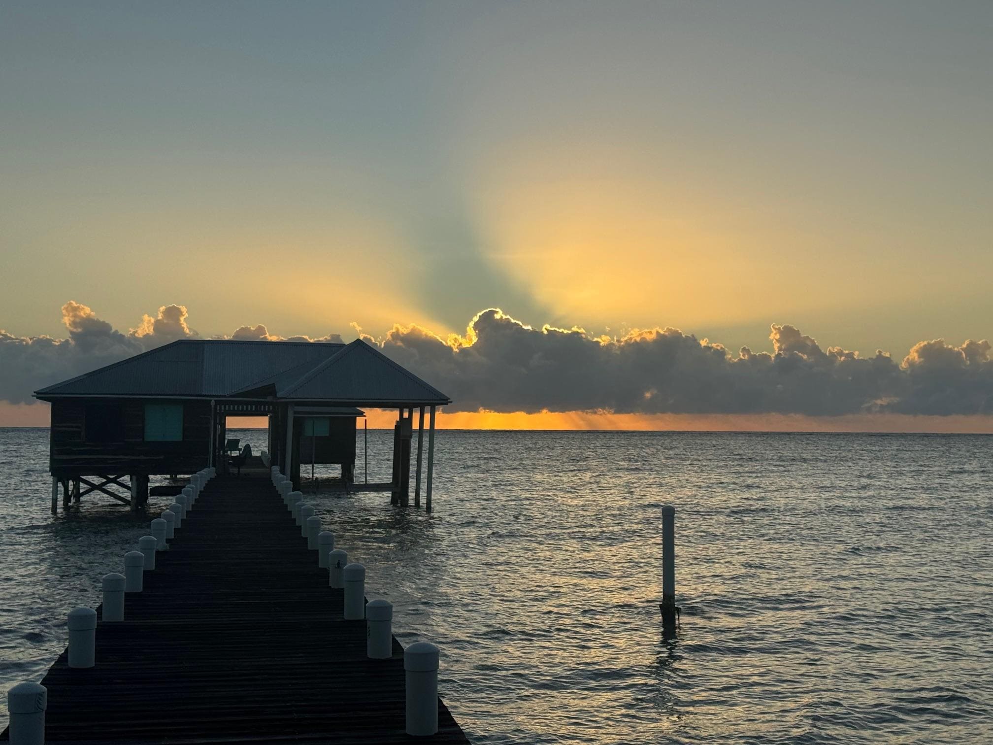 every morning is magic