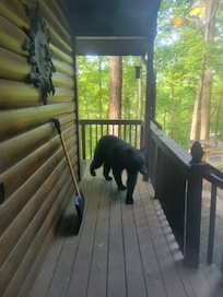 We named him Boba! Don't worry the door was closed 😆