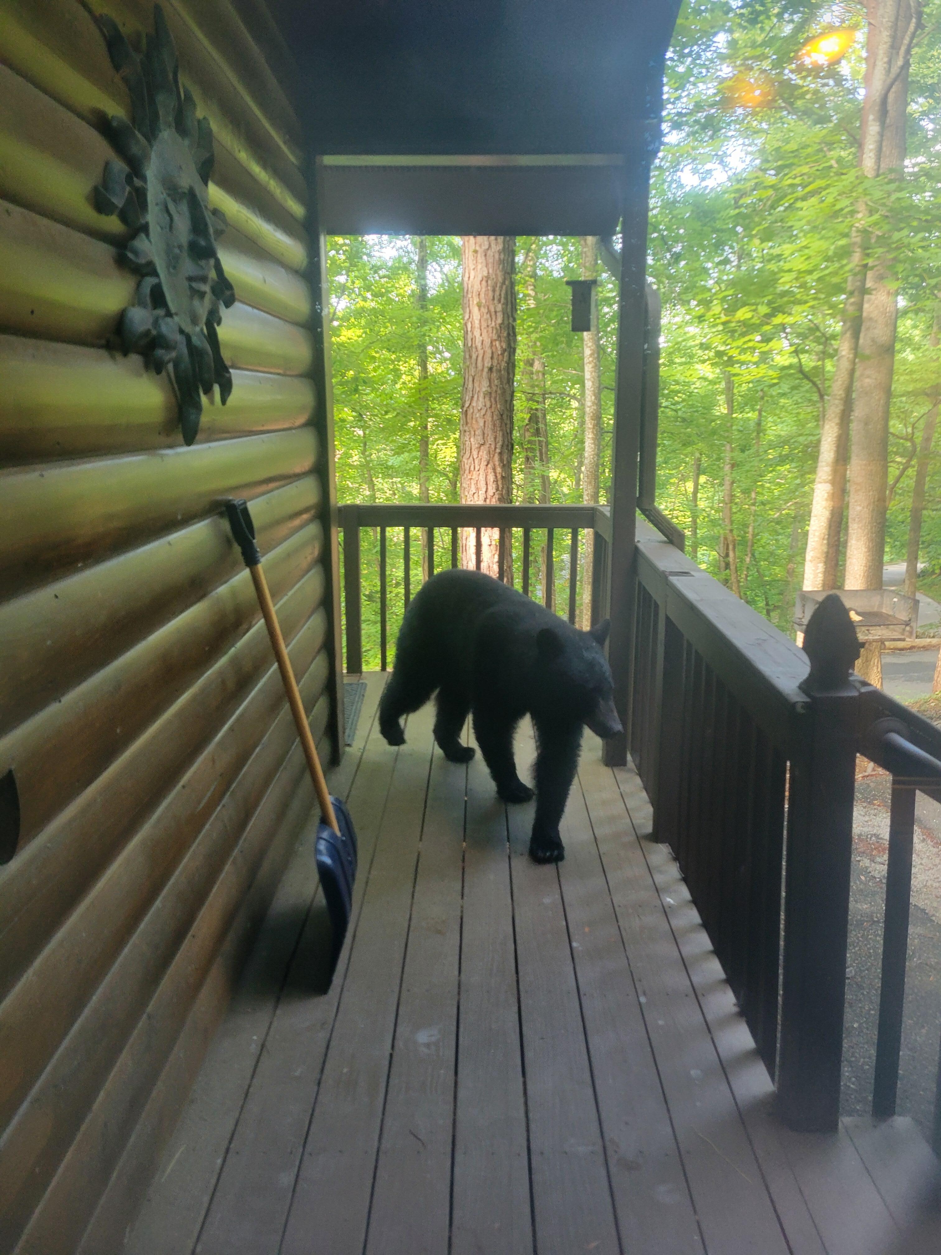 We named him Boba! Don't worry the door was closed 😆