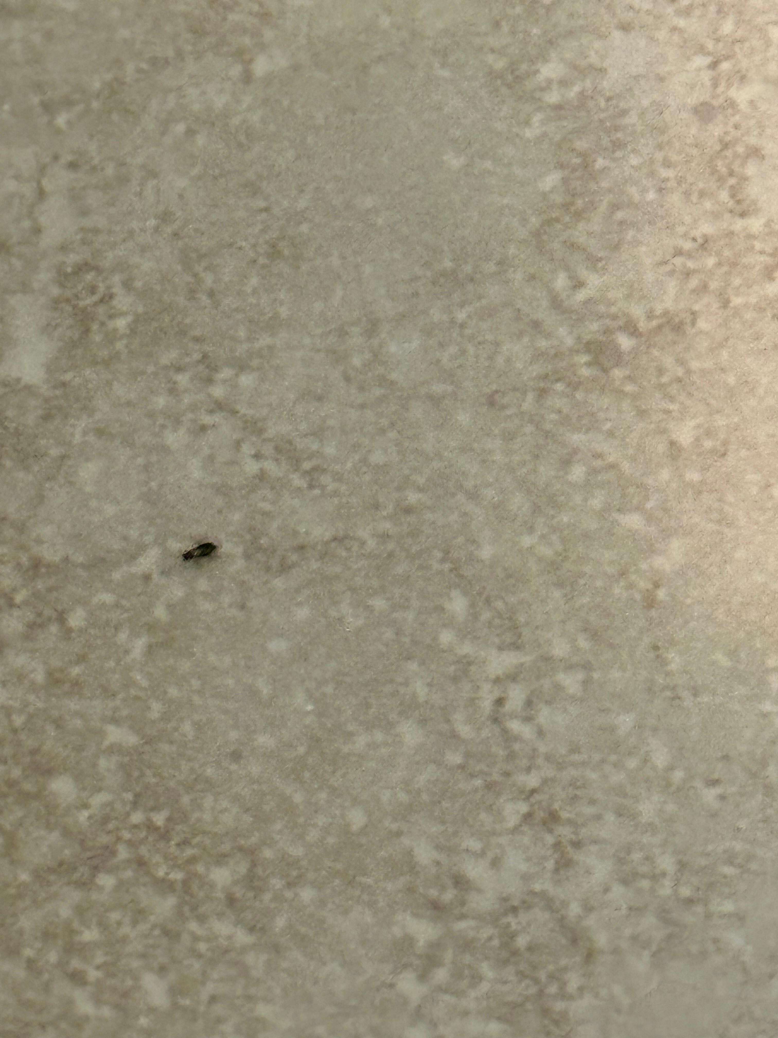 Another one in the bathroom 