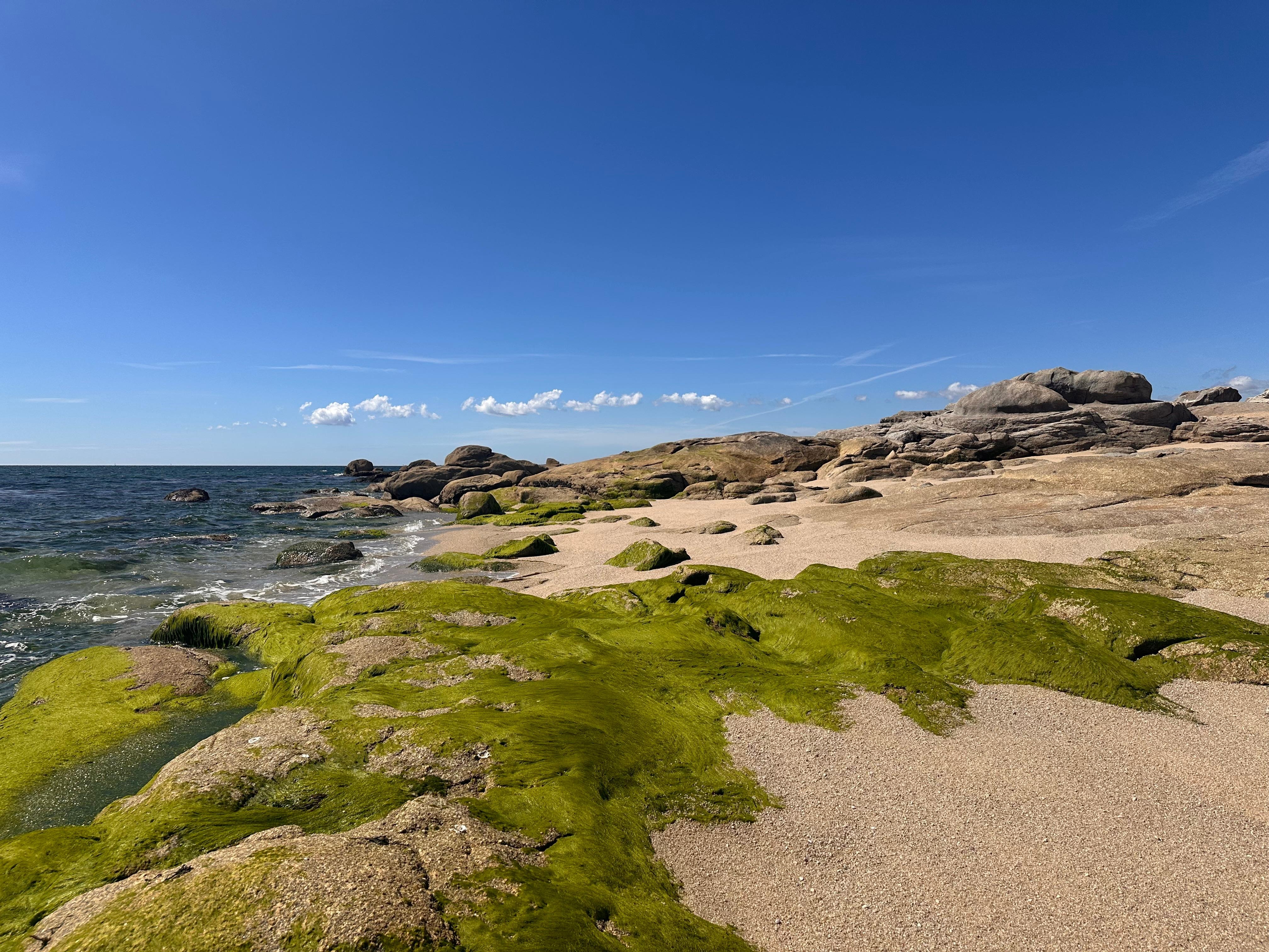Naher Strand