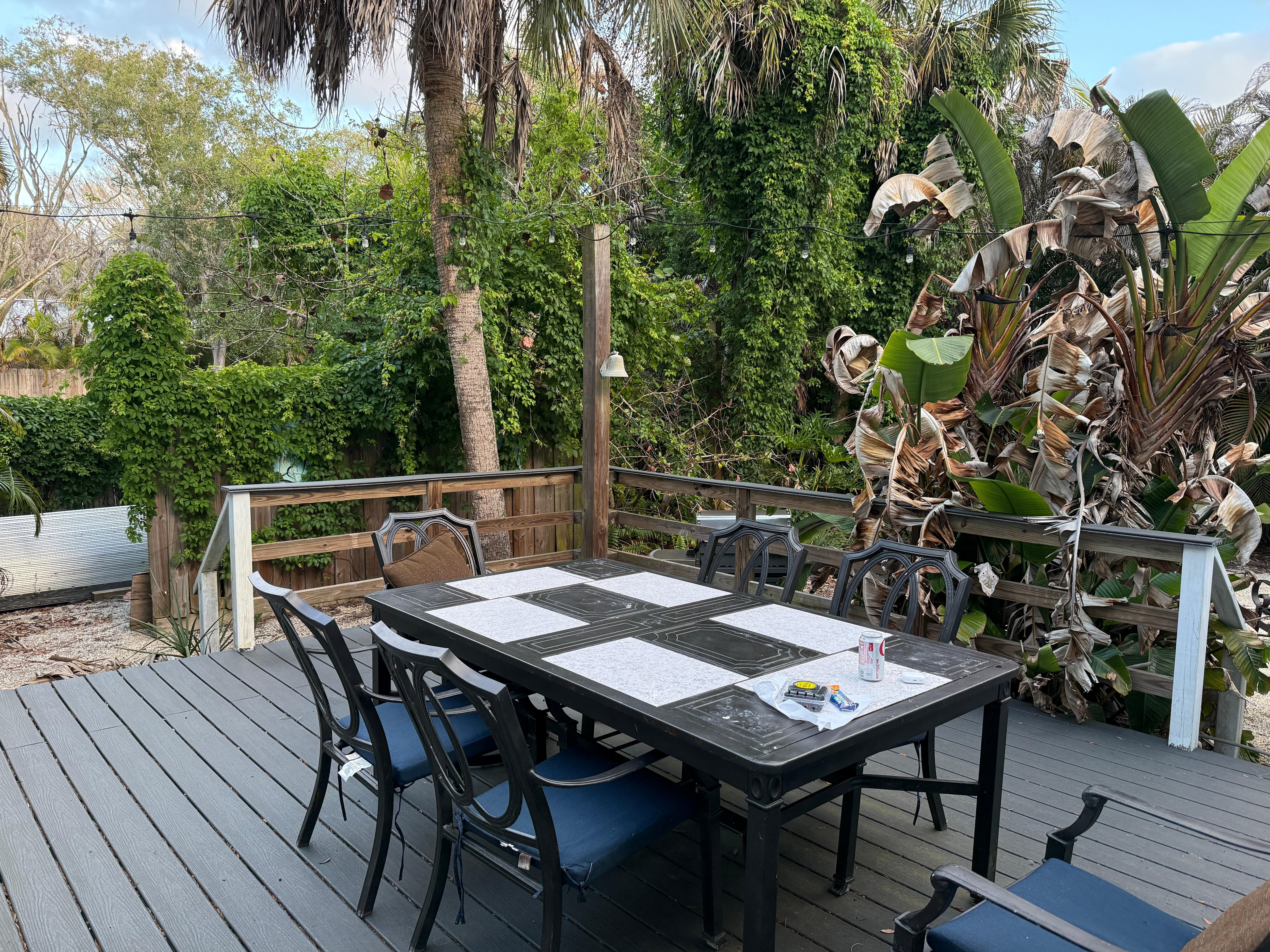 The wonderful back deck area.