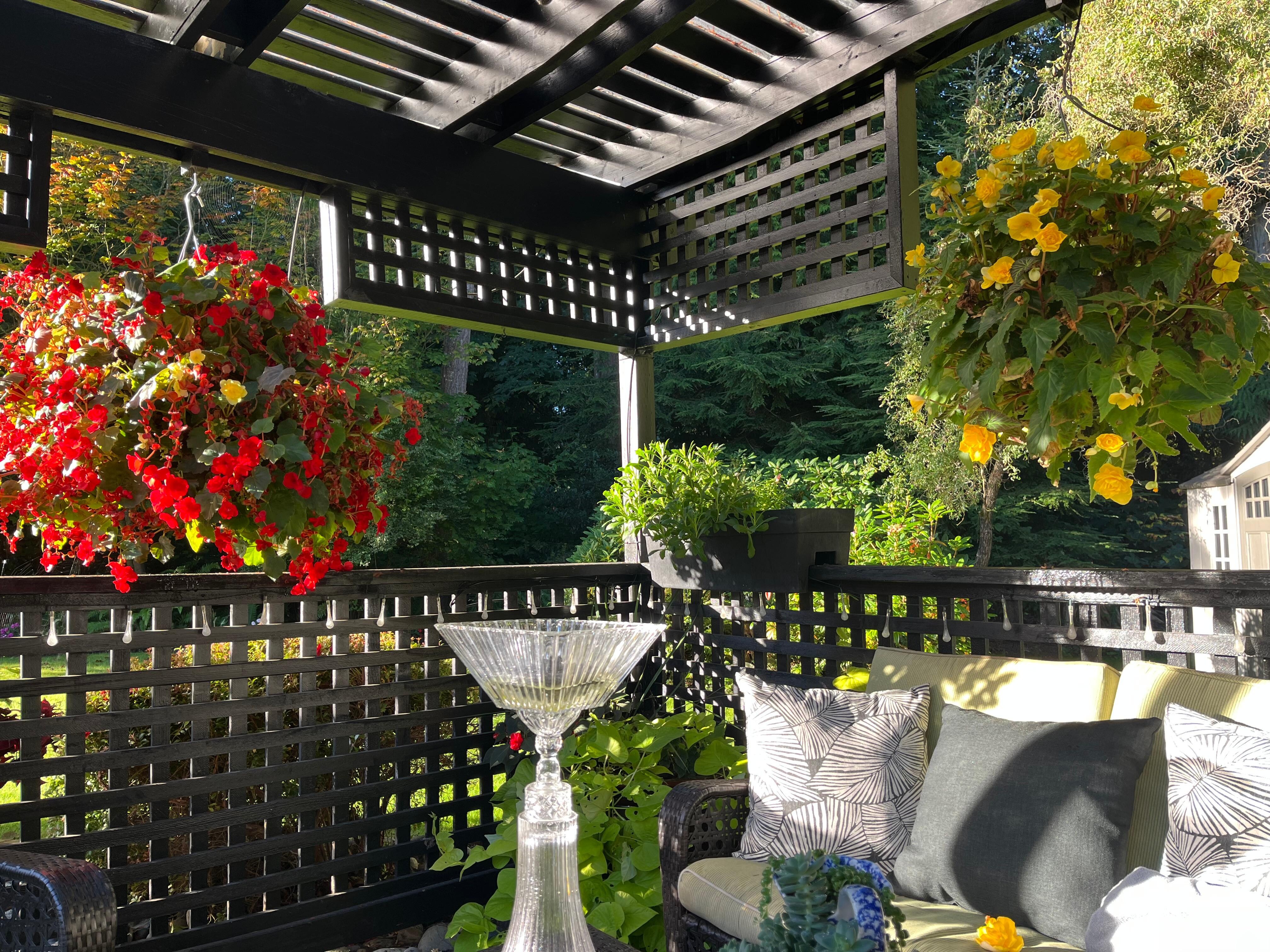 Morning coffee in covered gazebo was a treat!