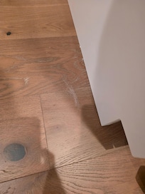 Cluster of cat hair behind the forward bedroom door. Under beds, bookcases, etc