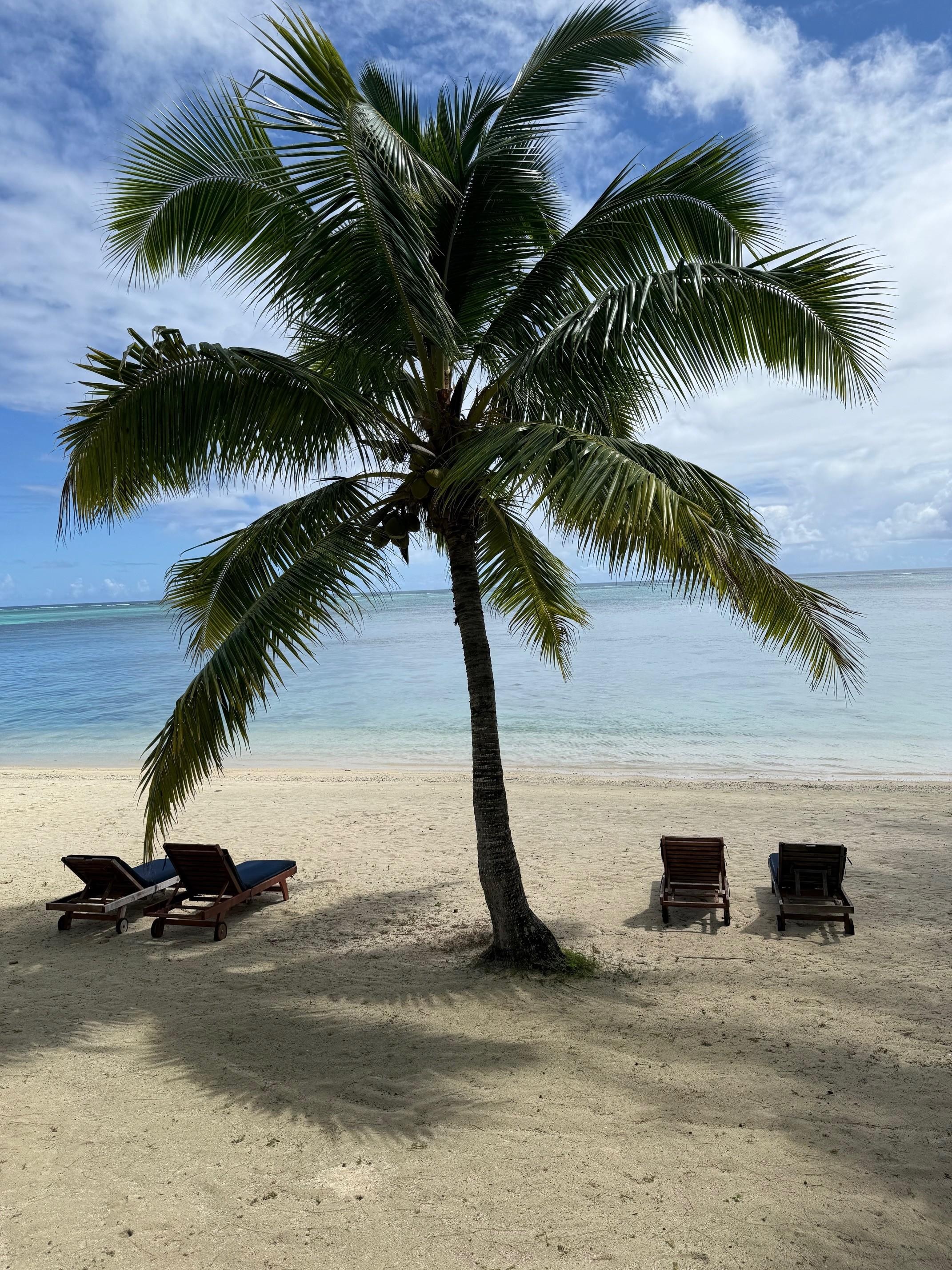 The view from our cottage.