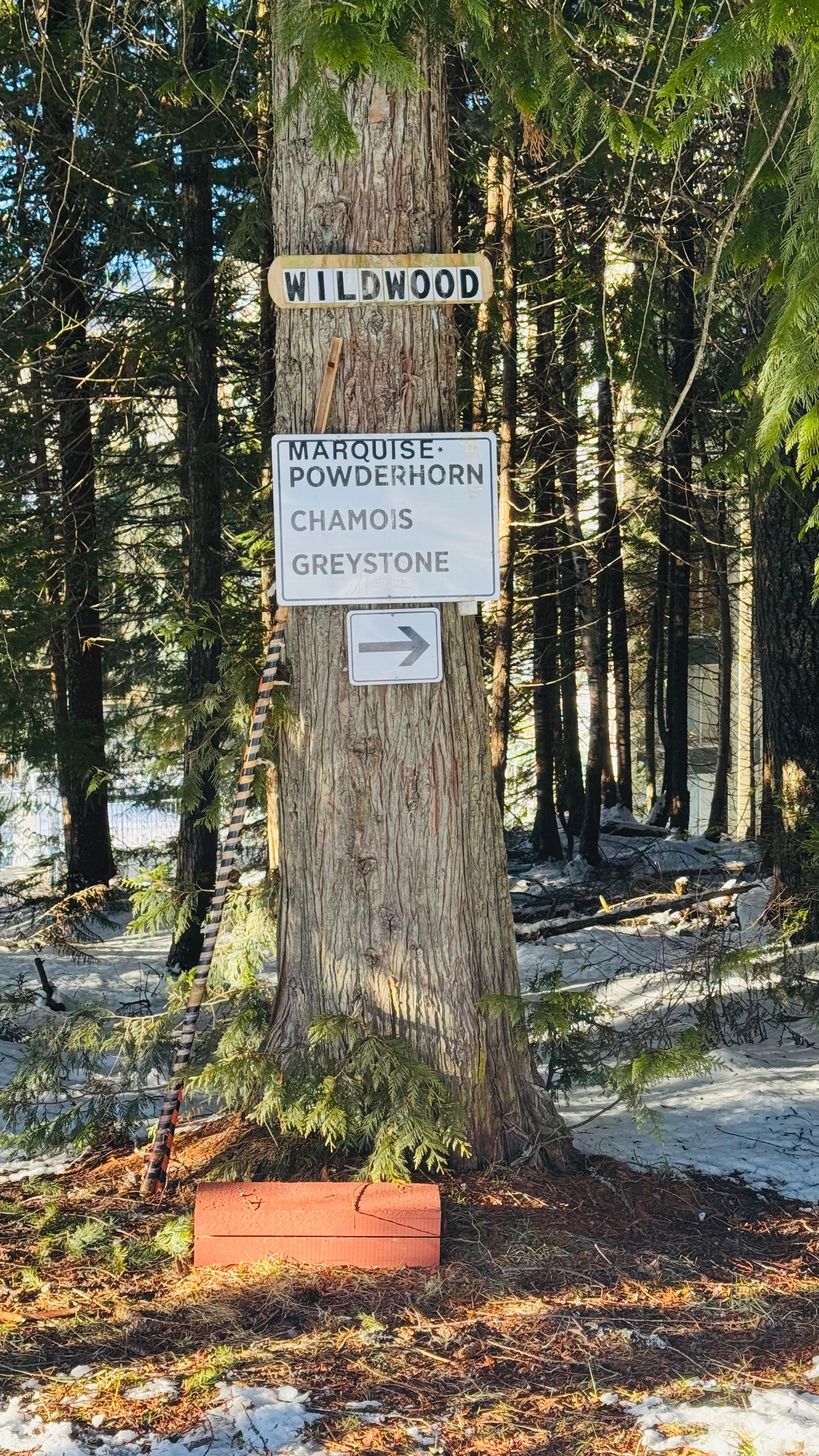 This is the sign to look for when you want to ski back - branches may be hiding it from view!