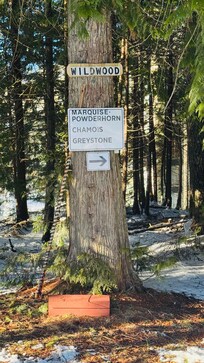 This is the sign to look for when you want to ski back - branches may be hiding it from view!