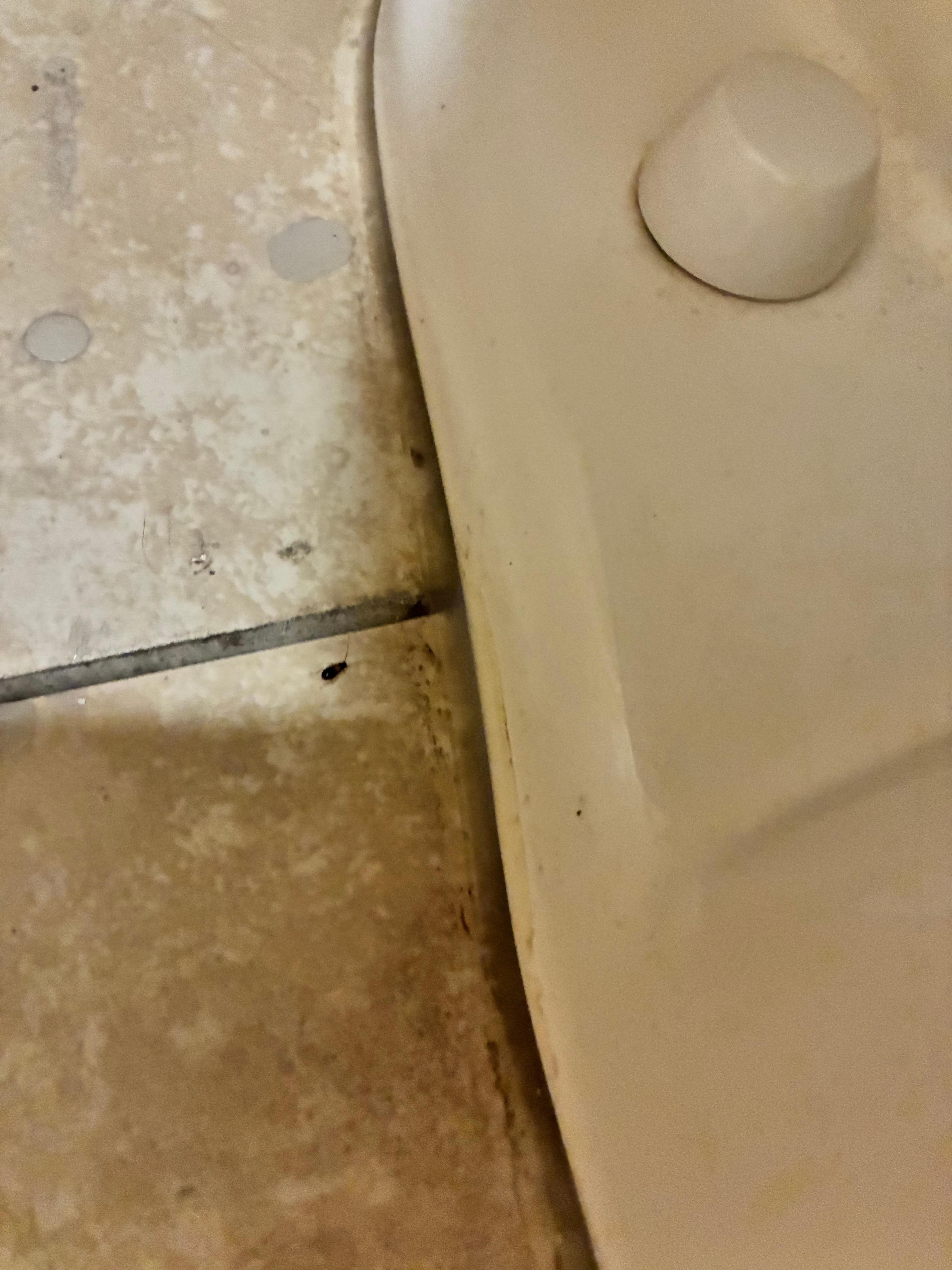 This one was in the bathroom of the first room I went in