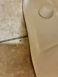 This one was in the bathroom of the first room I went in