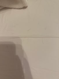 Dog hair on sheets