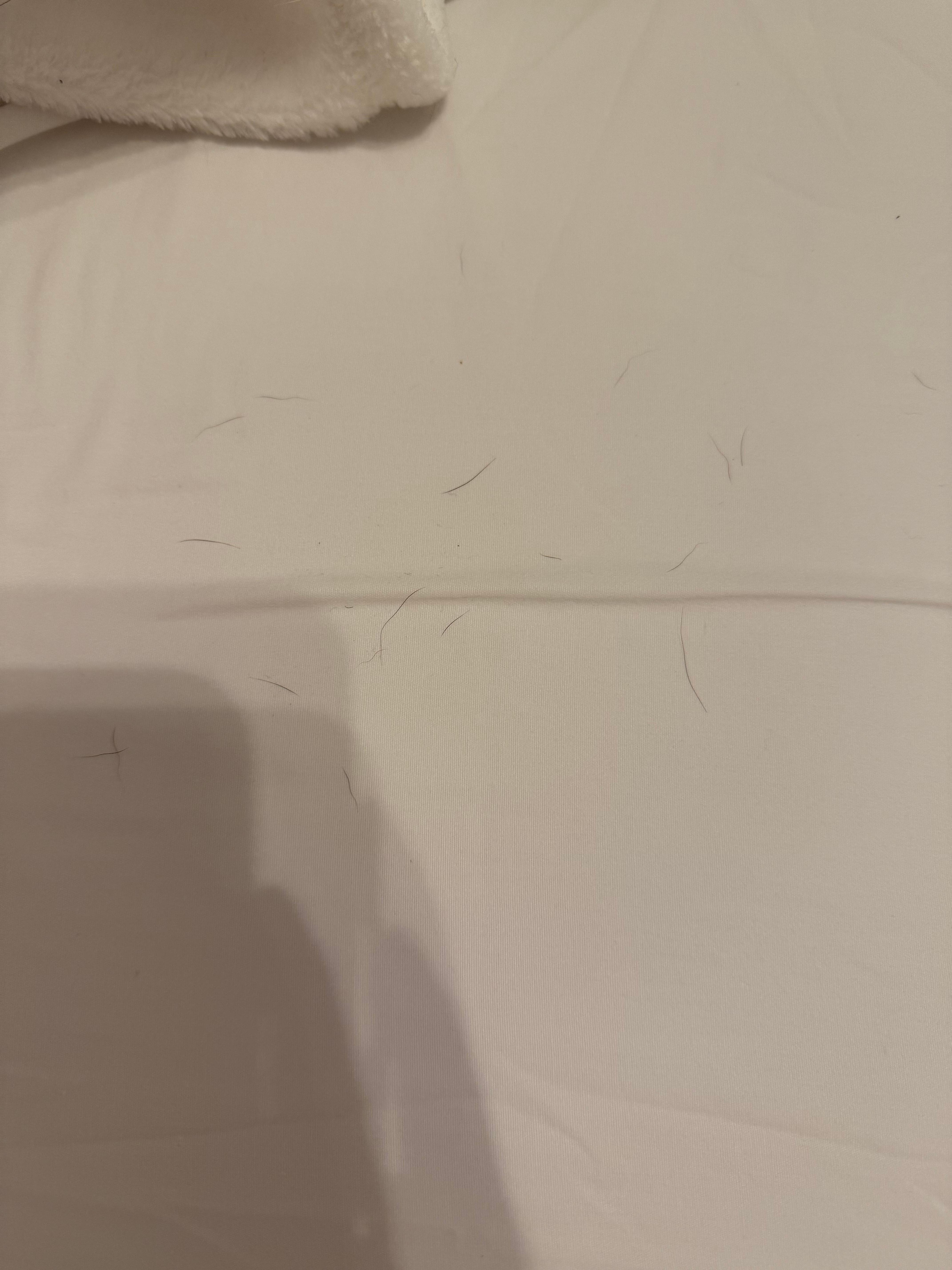 Dog hair on sheets