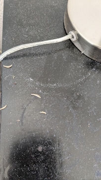 Staub und abgeschnittene Finger/FuĂnĂ€gel auf dem Nachttisch und Dreck unter dem Bett