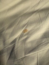 One of the stain on the sheets
