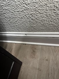 Dirt on the floor