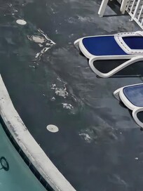 Around outdoor pool