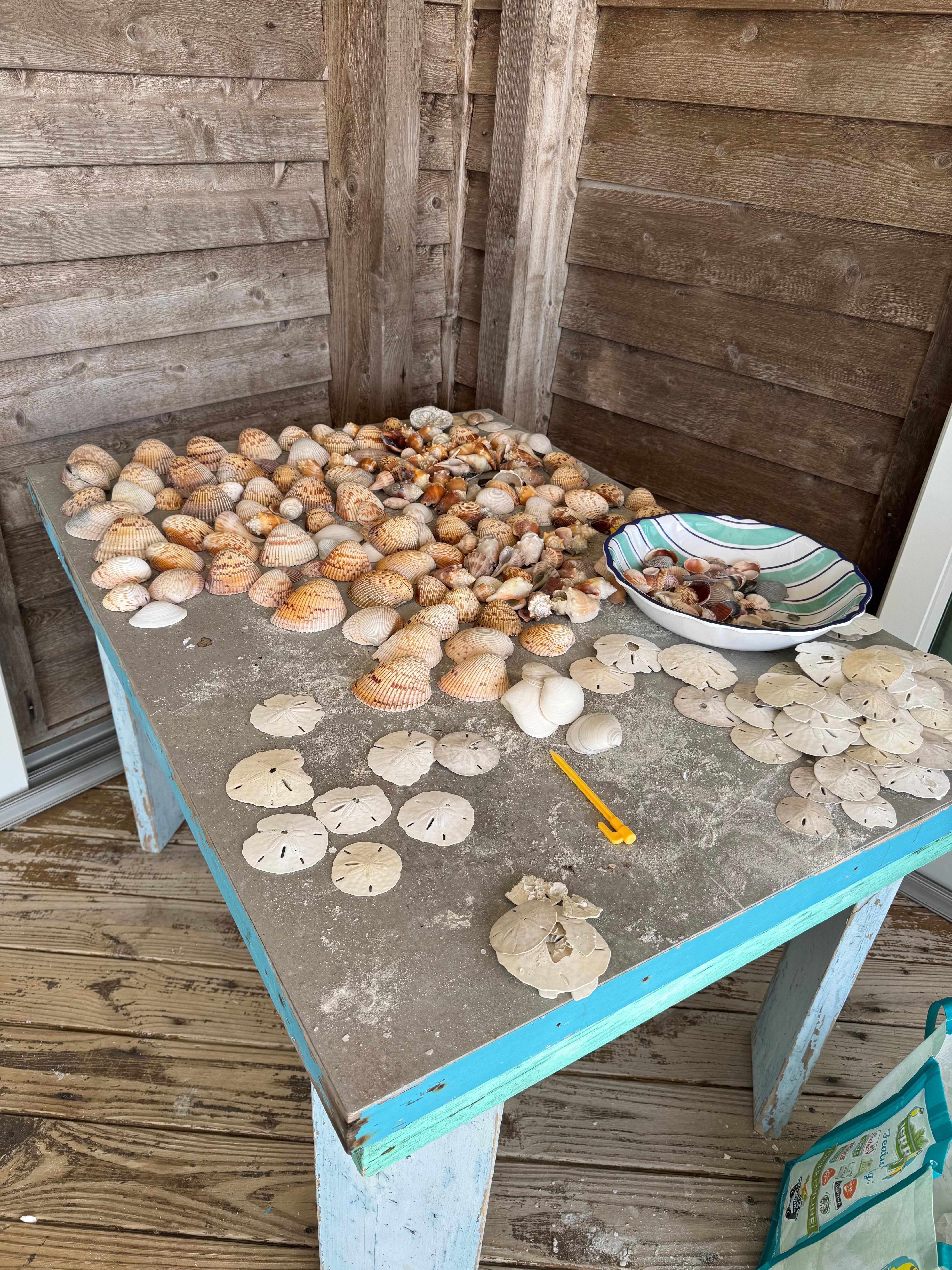 First day of shelling 