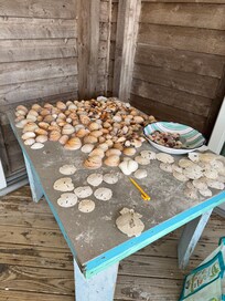 First day of shelling