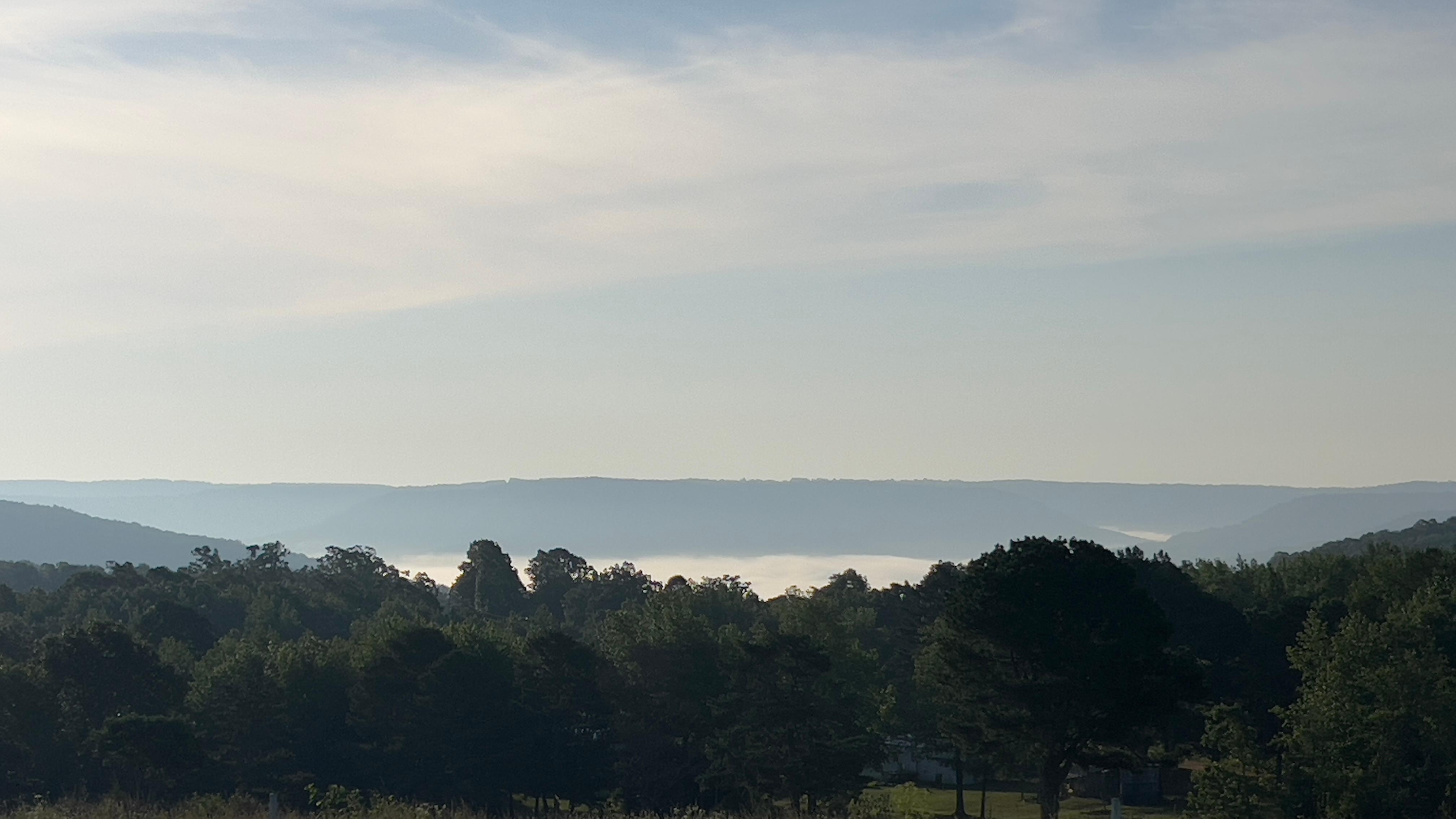 Picture from back porch 