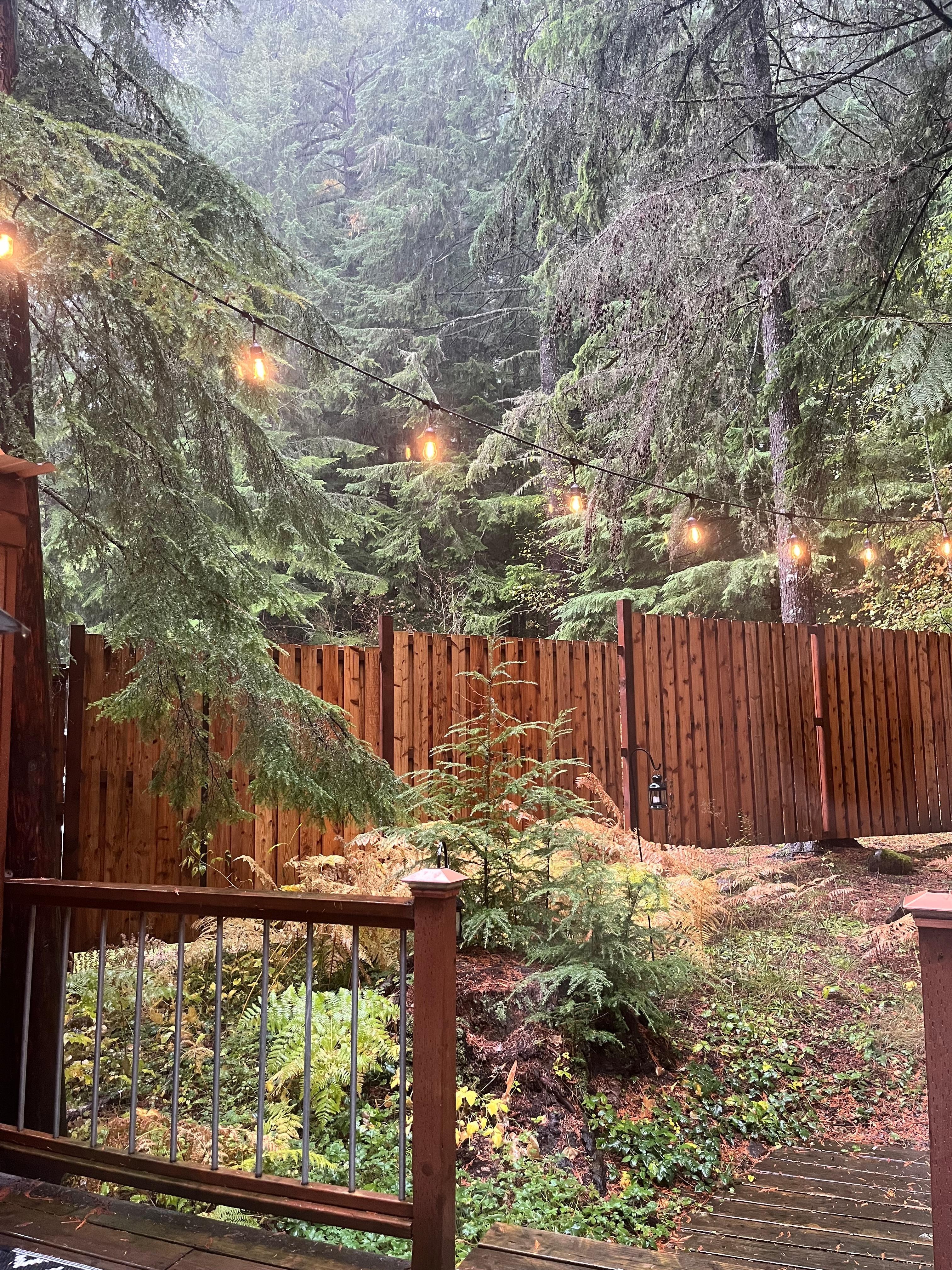 View out the back door 