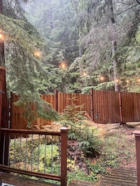 View out the back door