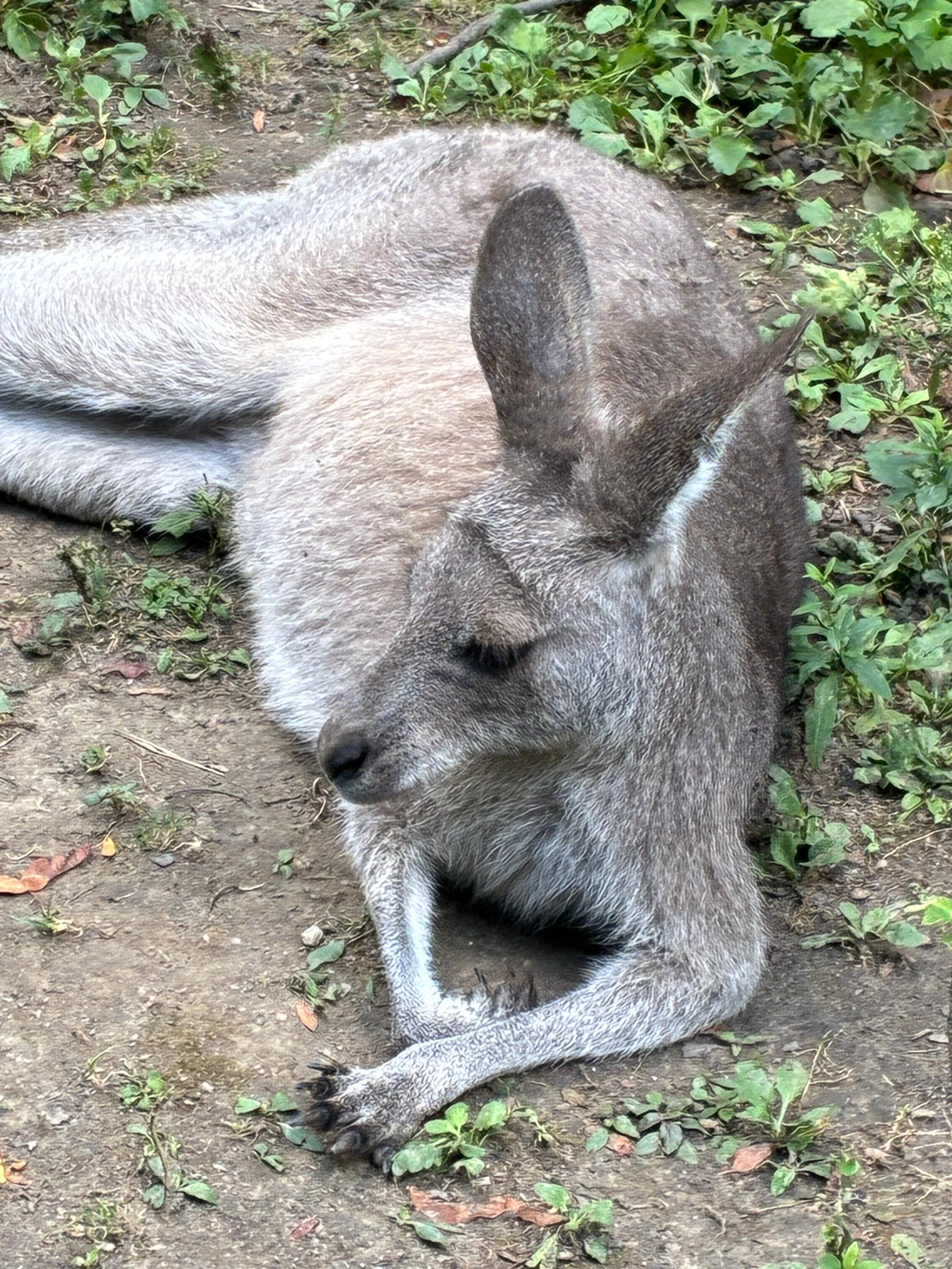 A new friend at the zoo. 