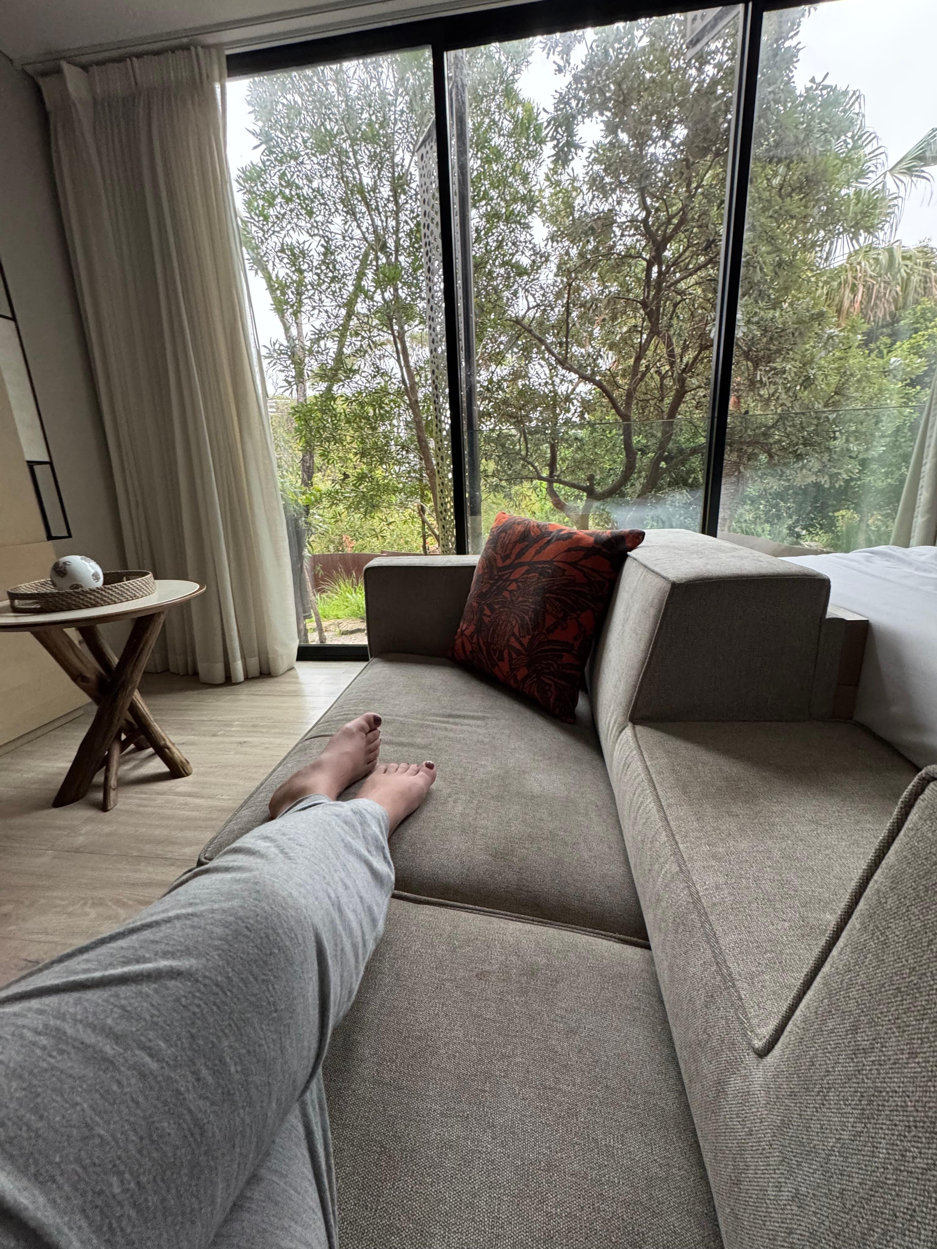 A super relaxing atmosphere with a furry friend view! 