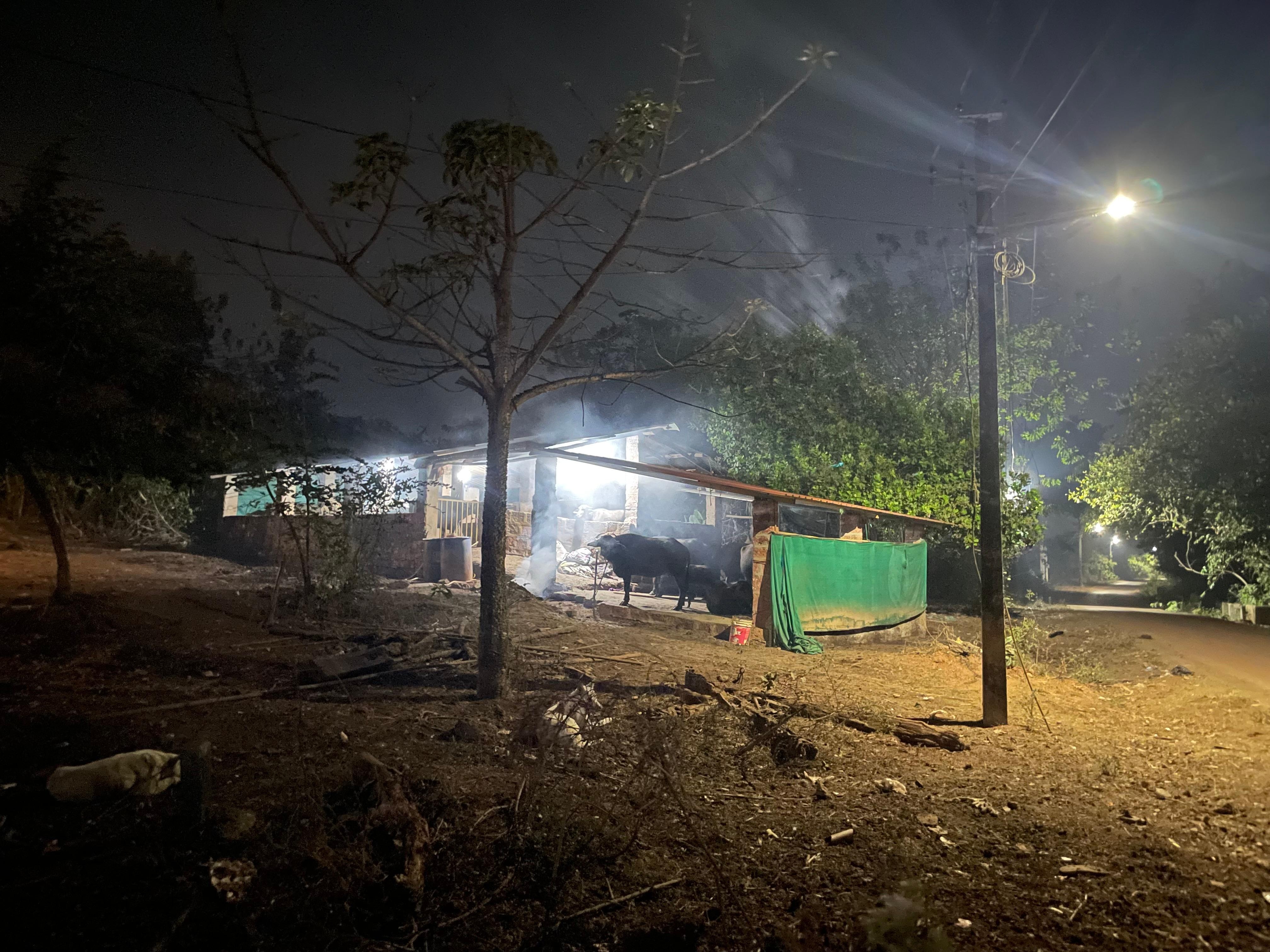 Cow patties burning all around the property at night.