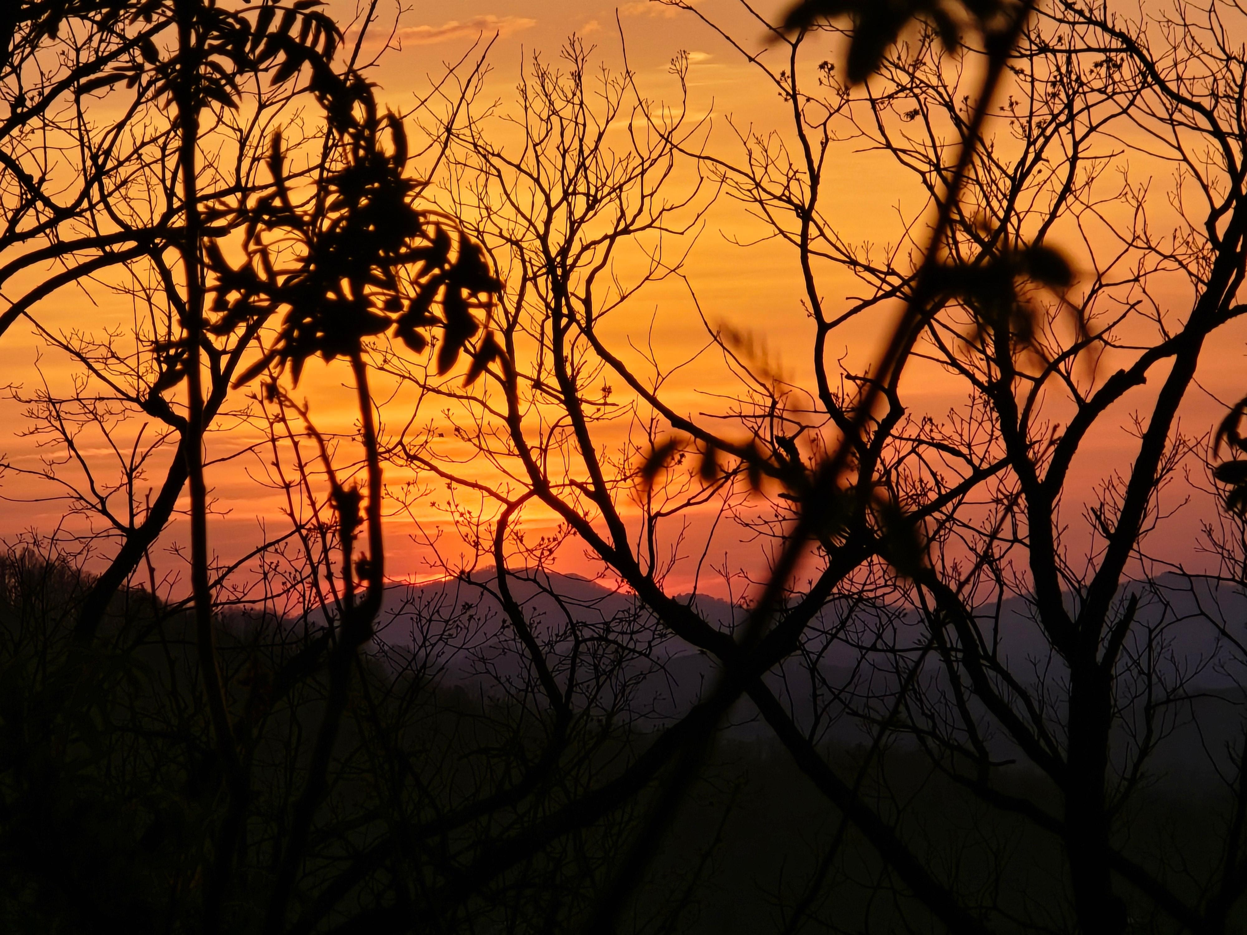 Sunset from the driveway.