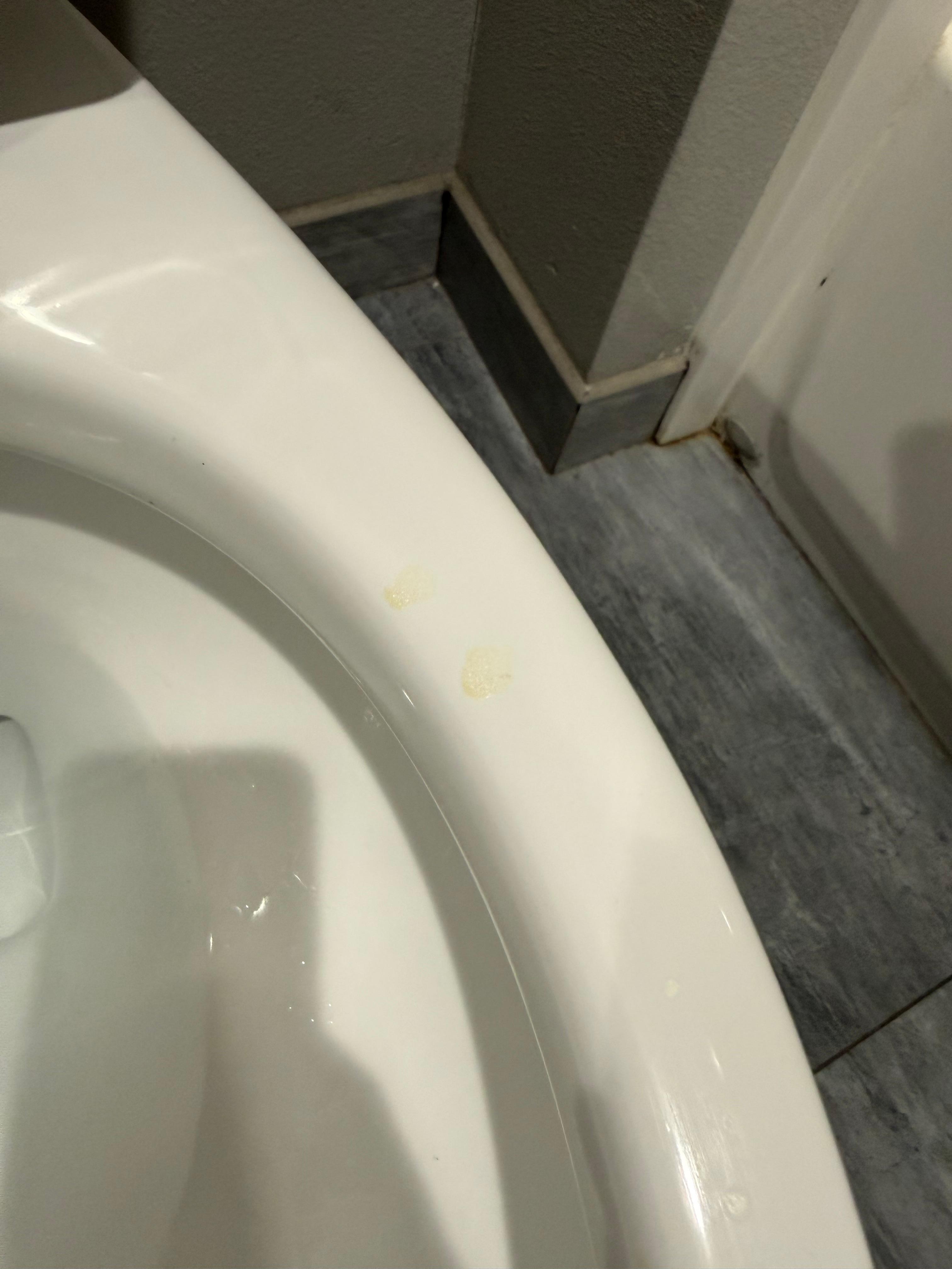 Urine on the toilet when I checked in 